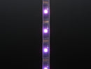 Adafruit DotStar Digital LED Strip - Black 30 LED - Per Meter - Buy - Pakronics®- STEM Educational kit supplier Australia- coding - robotics