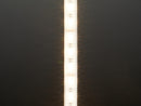 Analog RGBW LED Strip - RGB plus Warm White - 60 LED/m - Buy - Pakronics®- STEM Educational kit supplier Australia- coding - robotics