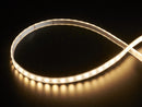 Analog RGBW LED Strip - RGB plus Warm White - 60 LED/m - Buy - Pakronics®- STEM Educational kit supplier Australia- coding - robotics