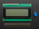 RGB backlight positive LCD 20x4 + extras