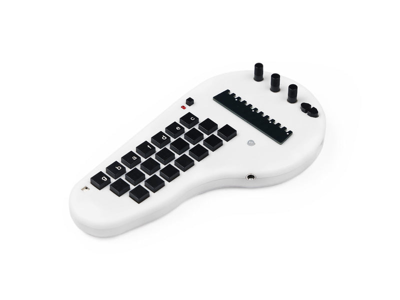 Minichord Synthesizer