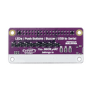 Maker pHAT: Simplifying Raspberry Pi for Education