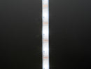 Adafruit DotStar LED Strip - Addressable Cool White-30 LED/m 2m
