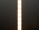 Analog RGBW LED Strip - RGB plus Warm White - 60 LED/m 2m