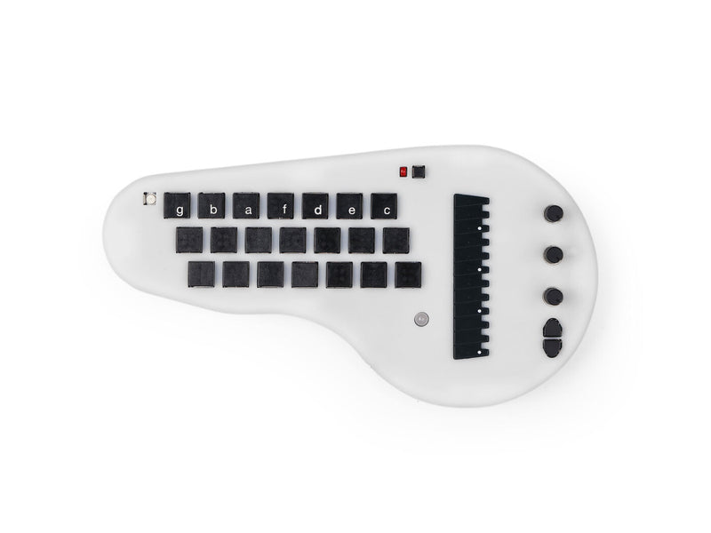 Minichord Synthesizer