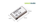 Wio-LR2021 Wireless Module (Tape Reel) | Semtech LR2021 | LoRa | Sub-GHz | 2.4GHz ISM
