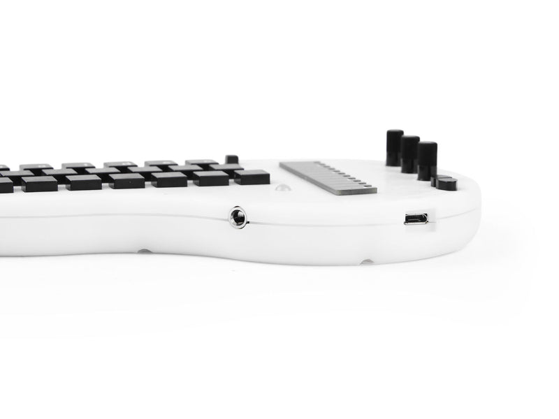 Minichord Synthesizer