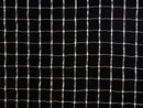 NeoPixel LED Outdoor Netting - 20 x 20 LEDs - 1x1 Meter Sizing