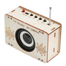 DIY - Radio Kits for school