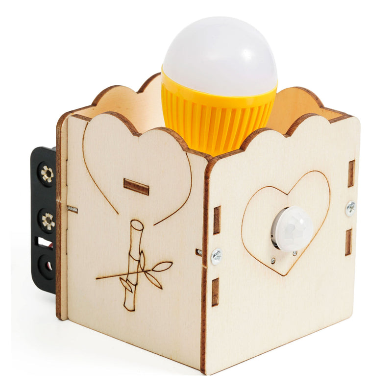 DIY - Human Body Induction Light Kits for School