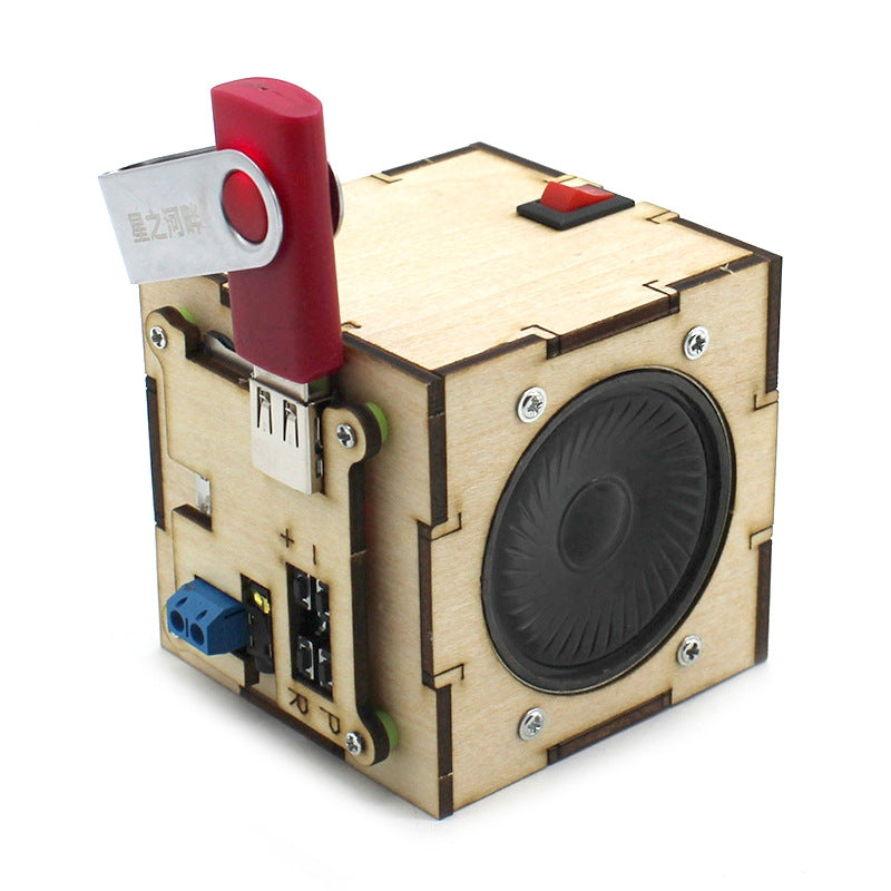 DIY - Wooden Speaker  Kits for School