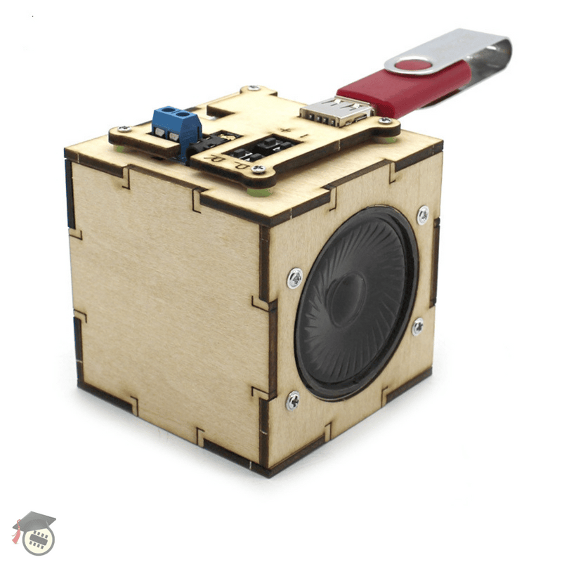 DIY - Wooden Speaker  Kits for School