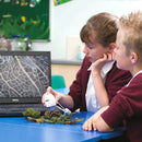 Easi-Scope Digital Microscope