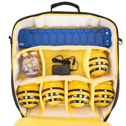Carry Case for Bee Bot and Blue Bot