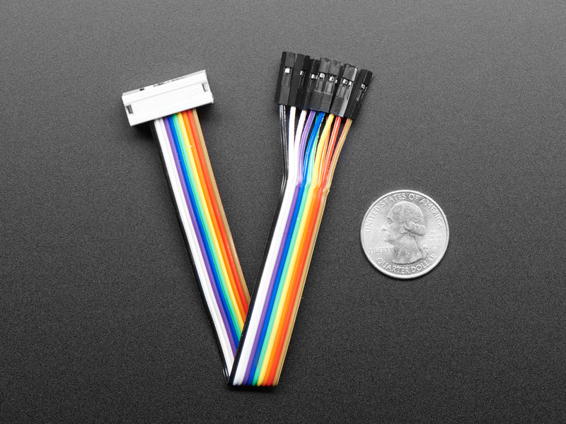 10-pin IDC Socket Rainbow Breakout Cable