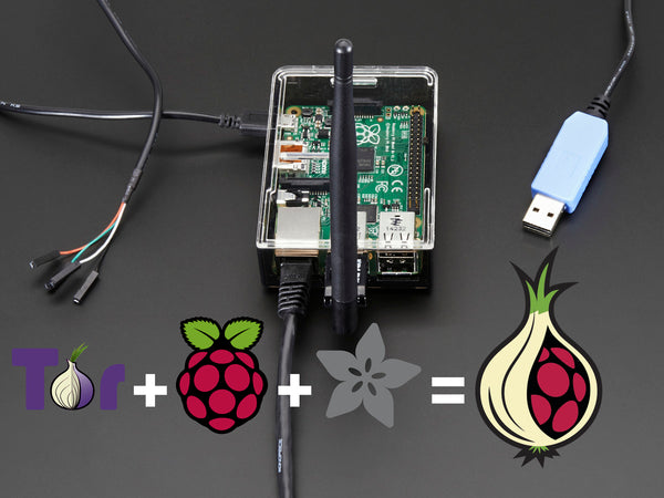 Onion Pi Pack w/Large Antenna - Make a Raspberry Pi B+ Tor Proxy