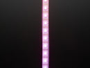 Adafruit DotStar Digital LED Strip - White 60 LED - Per Meter - Buy - Pakronics®- STEM Educational kit supplier Australia- coding - robotics