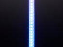 Adafruit DotStar Digital LED Strip - White 144 LED/m - One Meter