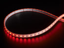 Analog RGBW LED Strip - RGB plus Cool White - 60 LED/m - Buy - Pakronics®- STEM Educational kit supplier Australia- coding - robotics