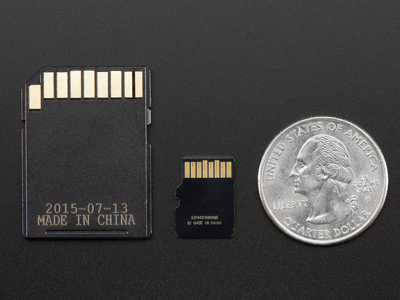 8GB Class 10 SD/MicroSD Memory Card - SD Adapter Included