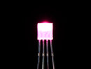 Diffused Rectangular 5mm RGB LEDs - Pack of 10
