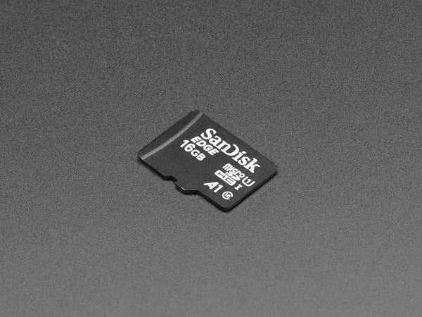 16GB SD Card with Buster Lite