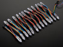 12mm  Diffused Thin Digital RGB LED Pixels (Strand of 25)