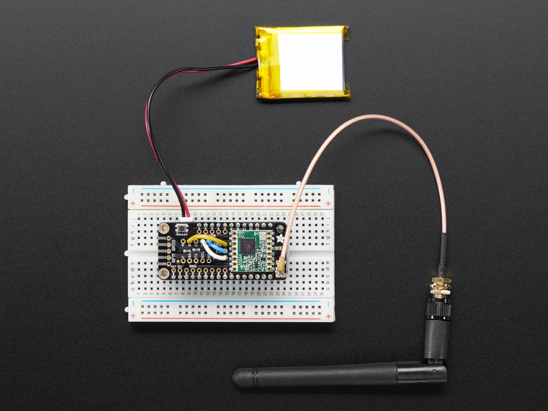 Adafruit LoRa Radio FeatherWing - RFM95W 900 MHz