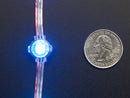 Adafruit NeoPixel LED Dots Strand - 20 LEDs at 2\" Pitch