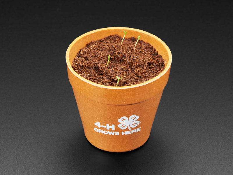 4-H Grow Your Own Clovers Kit