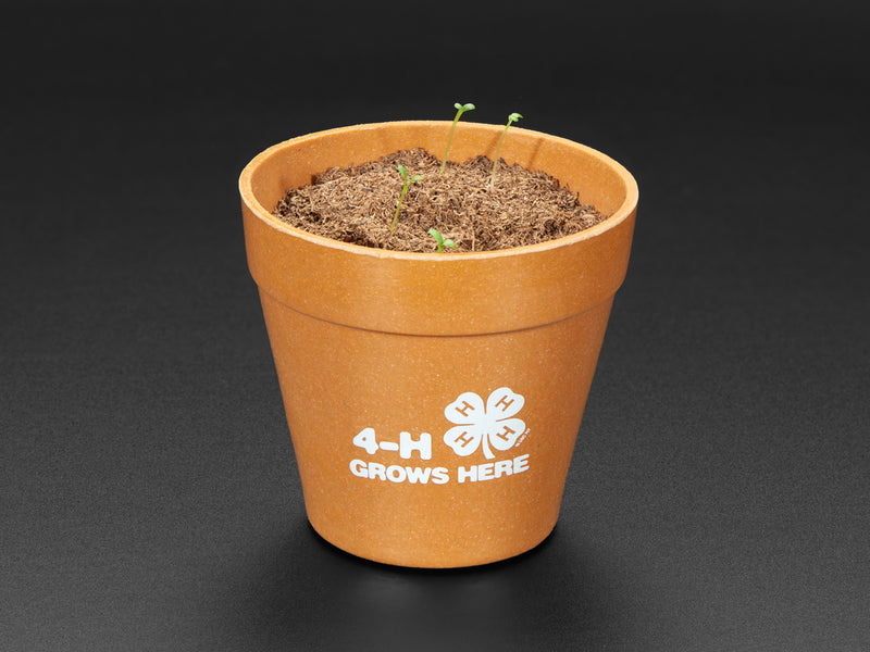 4-H Grow Your Own Clovers Kit with Circuit Playground Express
