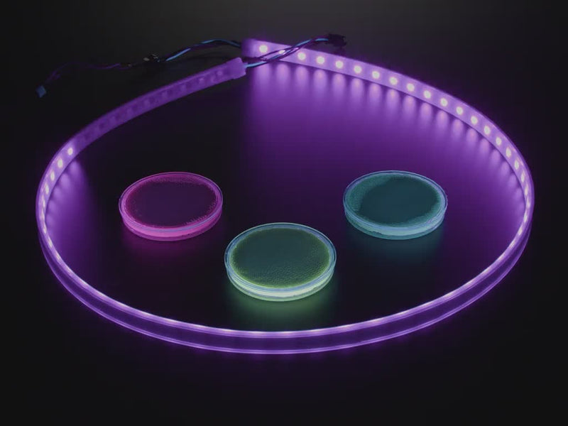 Adafruit High Density NeoPixel UV LED Strip with 60 LED/m