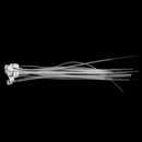 Nylon Cable Tie 1.9 x 100 (10 in Pack) - Buy - Pakronics®- STEM Educational kit supplier Australia- coding - robotics