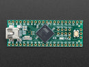 Teensy++ (AT90USB1286 USB dev board) + header