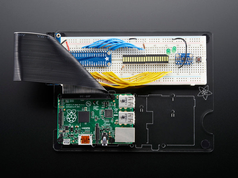 Adafruit Pi Dish for Raspberry Pi - Includes Breadboard