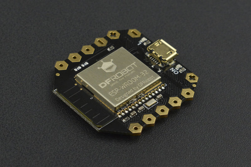 Beetle ESP32 Microcontroller - Buy - Pakronics®- STEM Educational kit supplier Australia- coding - robotics