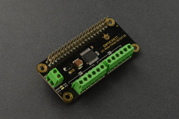 DC Motor Driver HAT(V1.0) - Buy - Pakronics®- STEM Educational kit supplier Australia- coding - robotics