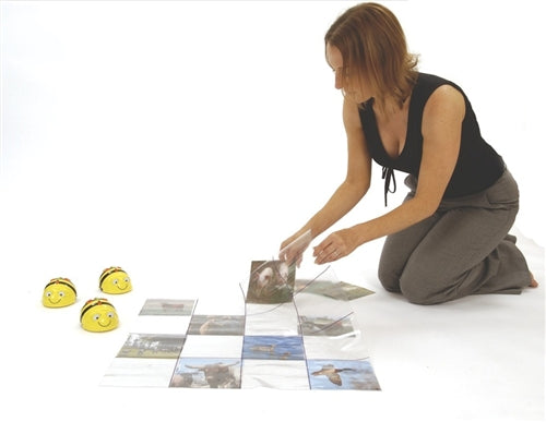 Transparent Grid for Bee Bot and Blue Bot - Buy - Pakronics®- STEM Educational kit supplier Australia- coding - robotics